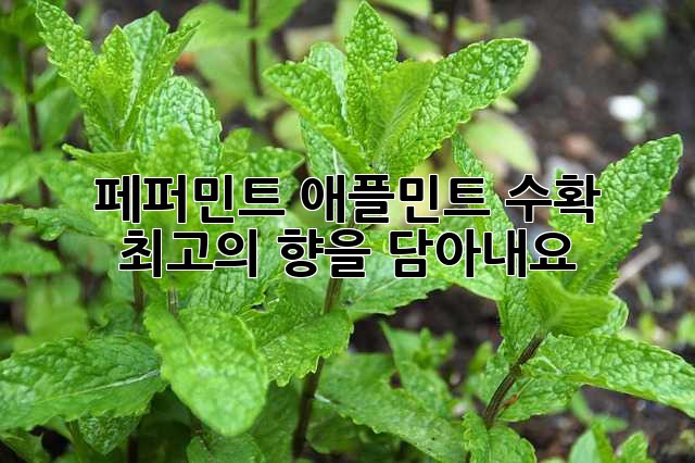 14a5f60147c19117bfcf4d5bea5e71dd.jpg