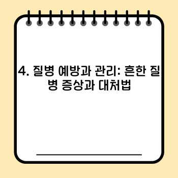 2a379dca08d8fa449a380bf64ef4ea44.jpg