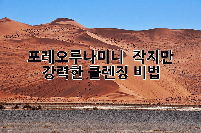2ff19f927cc61b2a4488ca244def0dea.jpg