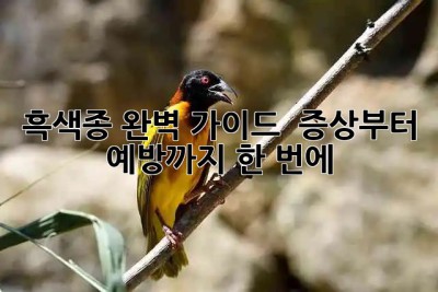 흑색종 완벽 가이드 🚨 증상부터 예방까지 한 번에!
