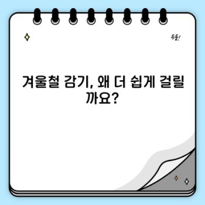 겨울철 감기 예방! 면역력 강화 식품 BEST 7 : 효능, 먹는법 총정리