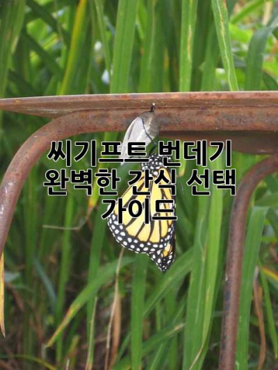 씨기프트 번데기: 완벽한 간식 선택 가이드
