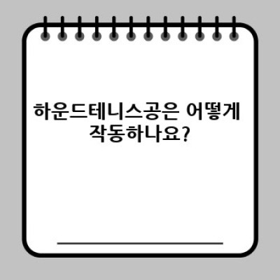 하운드테니스공: 모든 궁금증을 해결해 드립니다!