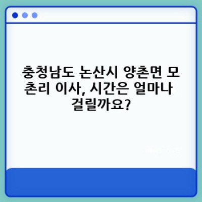 충청남도 논산시 양촌면 모촌리 이사 진행 시간: 이사 서비스 완벽 가이드