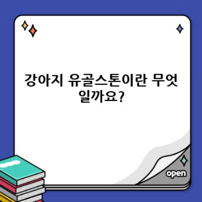 강아지 유골스톤: 모든 궁금증 해결, 반려견과 영원히 함께하는 방법