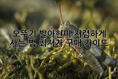 오뚜기 발아현미 저렴하게 사는 법! 최저가 구매 가이드