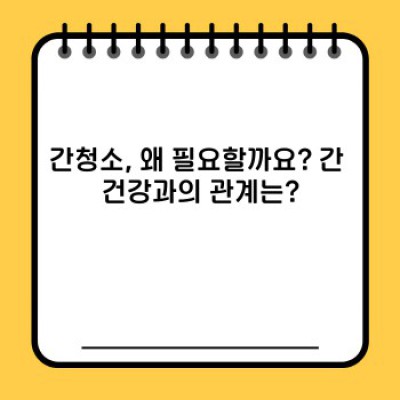 간청소, 정말 효과 있을까요? 효과적인 간청소 방법과 주의사항 완벽 가이드