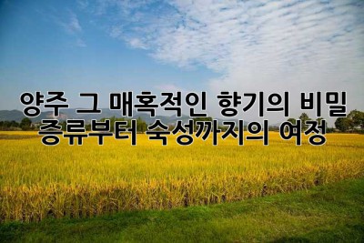 양주, 그 매혹적인 향기의 비밀: 증류부터 숙성까지의 여정
