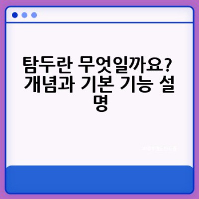 탐두 요약정보 우선 확인: 탐두의 모든 것, 문제 해결 및 활용 가이드