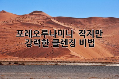 포레오루나미니 ✨ 작지만 강력한 클렌징 비법!