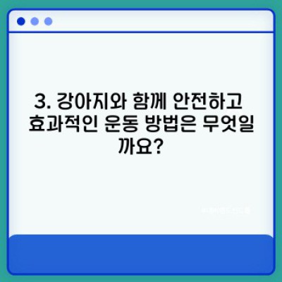 강아지 운동: 견종별 맞춤 운동법과 건강 관리 완벽 가이드
