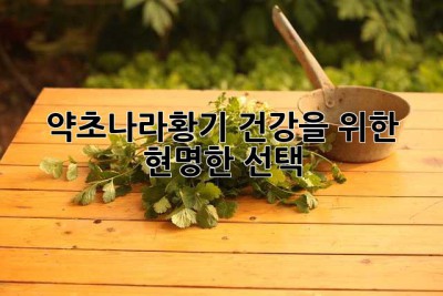 약초나라황기: 건강을 위한 현명한 선택