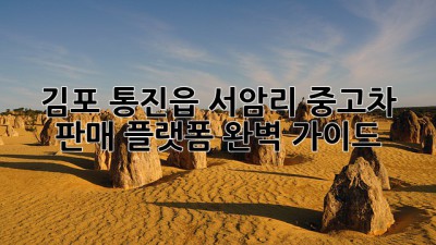 김포 통진읍 서암리 중고차 판매 플랫폼 완벽 가이드