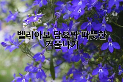 벨리아모 담요와 따뜻한 겨울나기