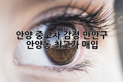 안양 중고차 감정: 만안구 안양동 최고가 매입!