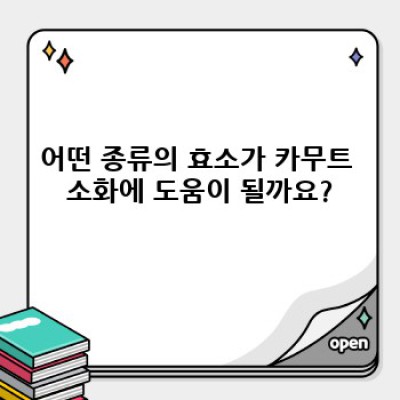 카무트 효소: 소화 불편 해결과 건강 증진의 비밀