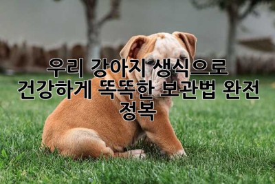 우리 강아지, 생식으로 건강하게! 똑똑한 보관법 완전 정복