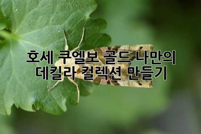 호세 쿠엘보 골드: 나만의 데킬라 컬렉션 만들기 ✨