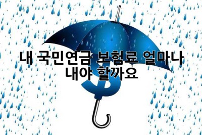 내 국민연금 보험료, 얼마나 내야 할까요? 🤔