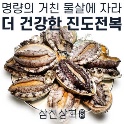 싱싱한 양식꼬마전복, 이것만 알면 득템!