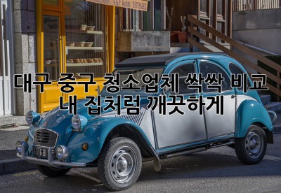 대구 중구 청소업체 싹싹 비교! ✨ 내 집처럼 깨끗하게!