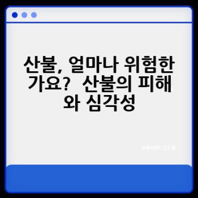 산불예방 요약정보 우선 확인:  내 손으로 지키는 소중한 산, 산불 예방 완벽 가이드