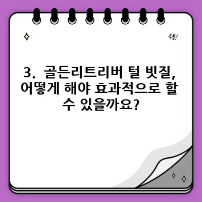 골든리트리버 털 관리: 빛나는 털, 건강한 반려견을 위한 완벽 가이드