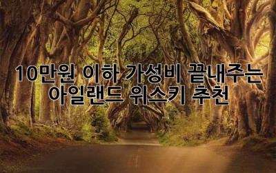 10만원 이하? 가성비 끝내주는 아일랜드 위스키 추천!🥃