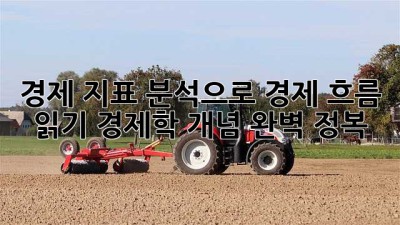 경제 지표 분석으로 경제 흐름 읽기: 경제학 개념 완벽 정복