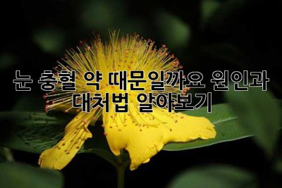 눈 충혈, 약 때문일까요? 원인과 대처법 알아보기