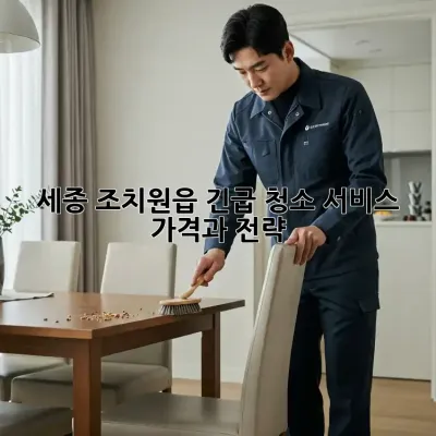 세종 조치원읍 긴급 청소 서비스: 가격과 전략