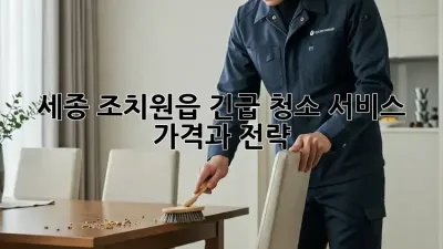 세종 조치원읍 긴급 청소 서비스: 가격과 전략