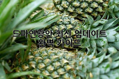 드파인광안 최신 업데이트 완벽 가이드