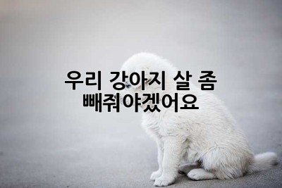 우리 강아지, 살 좀 빼줘야겠어요 😭