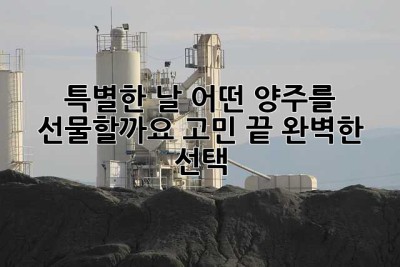 특별한 날, 어떤 양주를 선물할까요? 고민 끝, 완벽한 선택! ✨