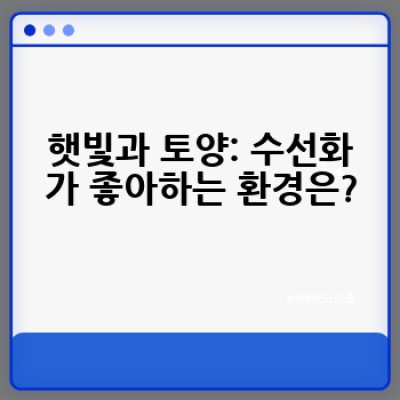 수선화 요약정보 우선 확인: 재배부터 관리까지 완벽 가이드