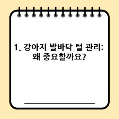 강아지 발바닥 관리: 건강한 산책을 위한 완벽 가이드 (털, 패드, 발톱 관리법 총정리!)