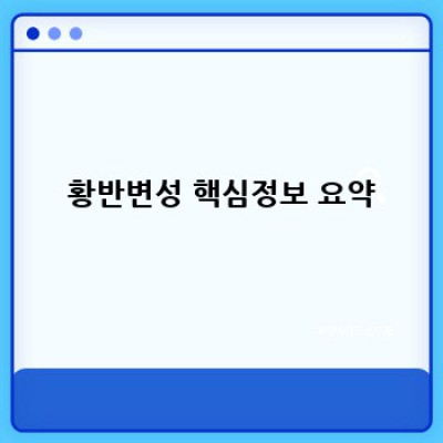 시력 잃는 공포, 황반변성! 증상부터 치료까지 완벽 가이드 (최신 정보 업데이트)