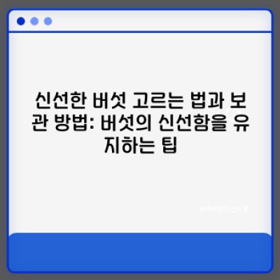 버섯의 세계로 안내: 종류별 특징과 선택 가이드