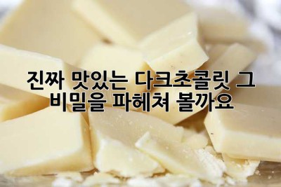 진짜 맛있는 다크초콜릿, 그 비밀을 파헤쳐 볼까요?🍫