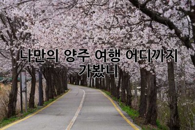 나만의 양주 여행, 어디까지 가봤니? ✨