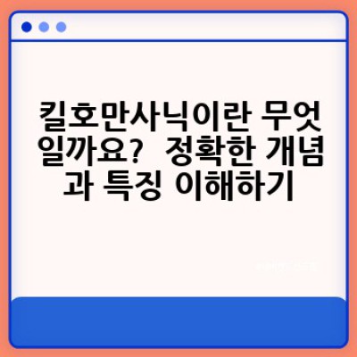 킬호만사닉 요약정보 우선 확인:  궁금증 해소와 활용법 완벽 가이드