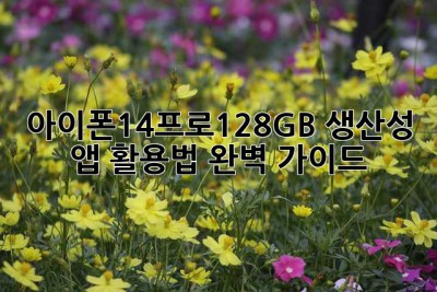 아이폰14프로128GB, 생산성 앱 활용법 완벽 가이드