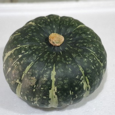 놓치면 후회! 영암 밤호박 단호박 특가 꿀팁🍯 후기