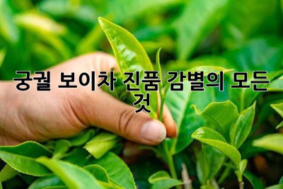 궁궐 보이차: 진품 감별의 모든 것