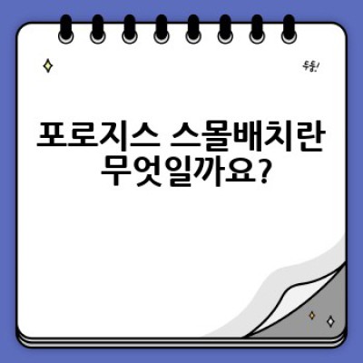 포로지스 스몰배치: 완벽 가이드 - 모든 궁금증 해소!