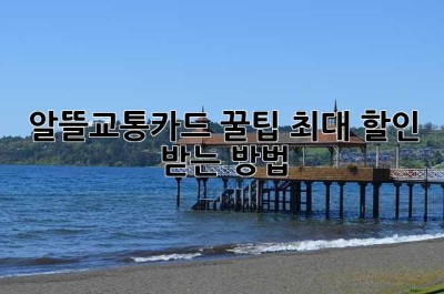 알뜰교통카드 꿀팁: 최대 할인 받는 방법!