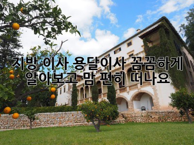 지방 이사 용달이사, 꼼꼼하게 알아보고 맘 편히 떠나요!