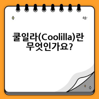 쿨일라(Coolilla) 란 무엇일까요? 장점, 단점, 그리고 비교 분석까지!