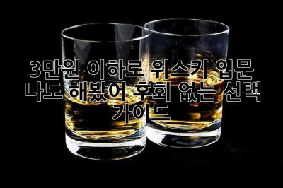3만원 이하로 위스키 입문? 나도 해봤어! 후회 없는 선택 가이드